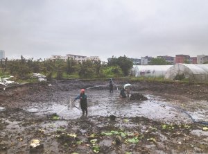 固安河道鱼塘清淤
